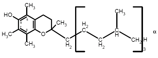 α-Токоферол (витамин Е)